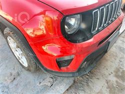 جيب رينيجيد